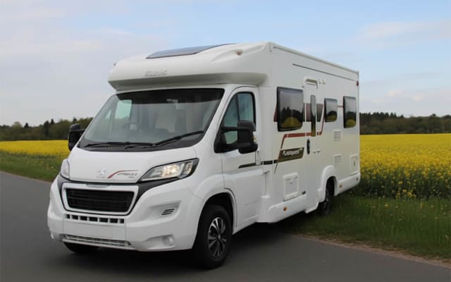 Rental - Low profile motorhome - null - #45240