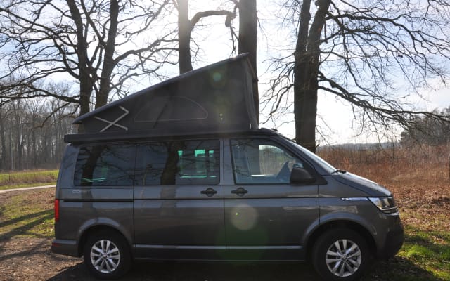 Viaggio - Van - null - #94284