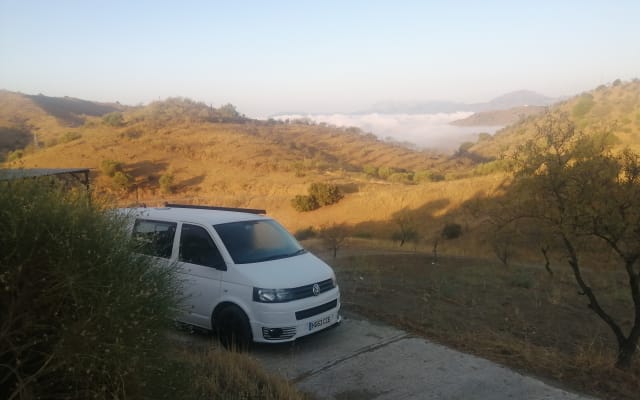 Rental - Campervan - null - #91035