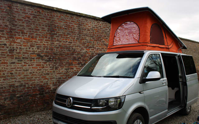 Rental - Campervan - null - #83593