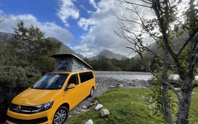 Rental - Campervan - null - #90842