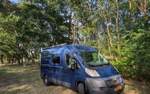 Boeking - Buscamper - null - #97630