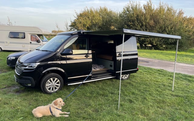 Location - Van - null - #93037