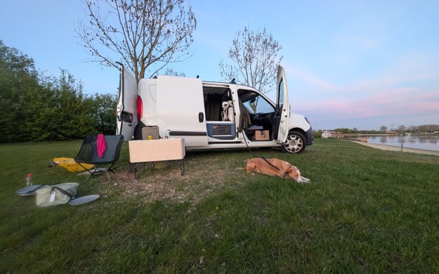 Vermietung - Campingbus - null - #95686