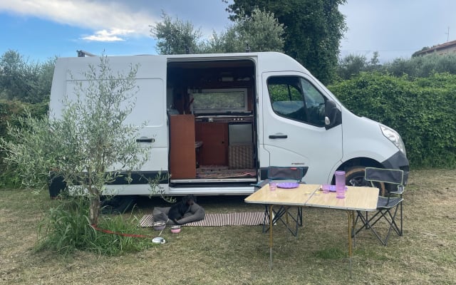 Prenotazione - Van - null - #97112