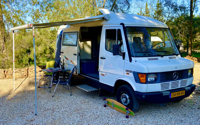 Alquiler - Camper gran volumen - null - #10414