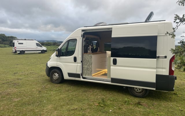 Prenotazione - Van - null - #91037