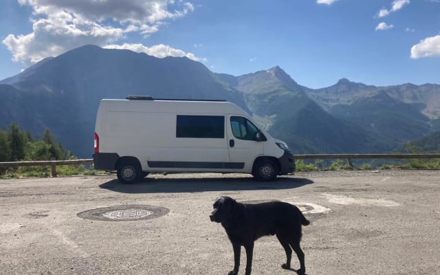 Rental - Campervan - null - #92131