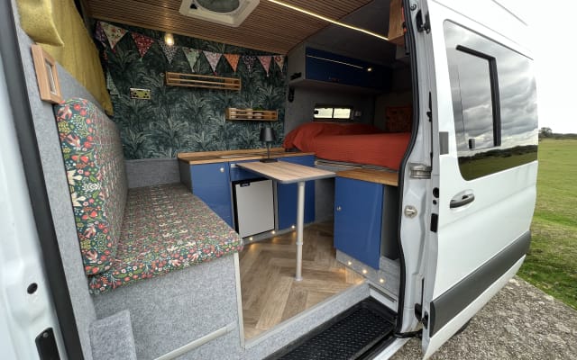 Hire - Campervan - null - #87116