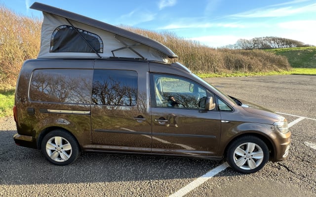 Rental - Campervan - null - #90846