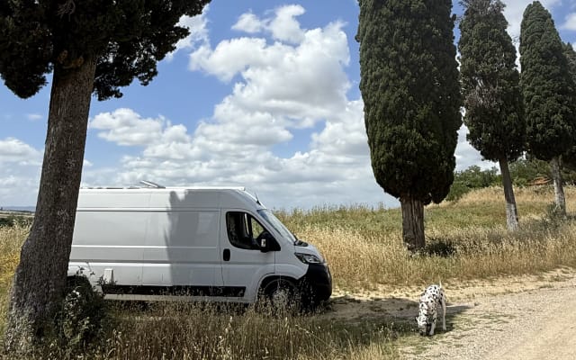 Rental - Large campervan - null - #94927