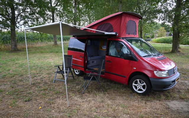 Huur - Buscamper - null - #80065