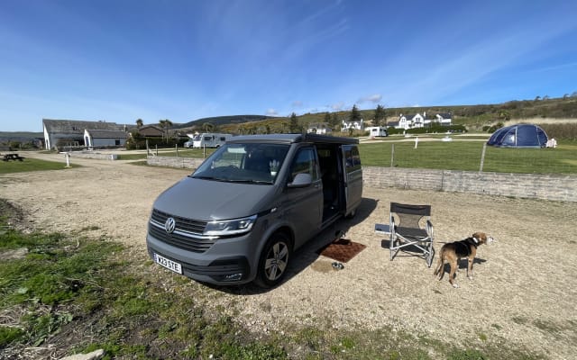 Rental - Campervan - null - #93519