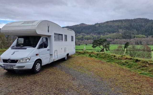 Rental - Coachbuilt motorhome - null - #49429