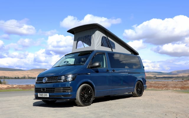 Rental - Campervan - null - #71844