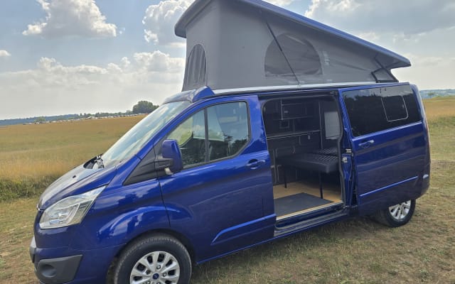 Rental - Campervan - null - #97833