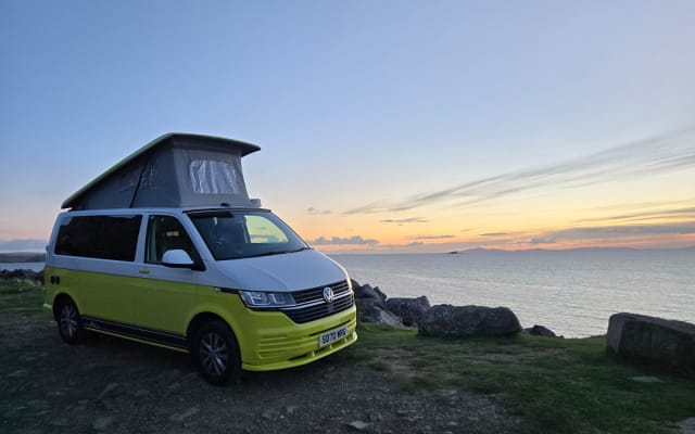 Rental - Campervan - null - #88841