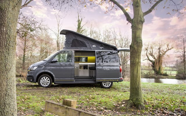 Rental - Campervan - null - #17922