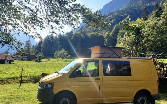 Vermietung - Kastenwagen - null - #94582
