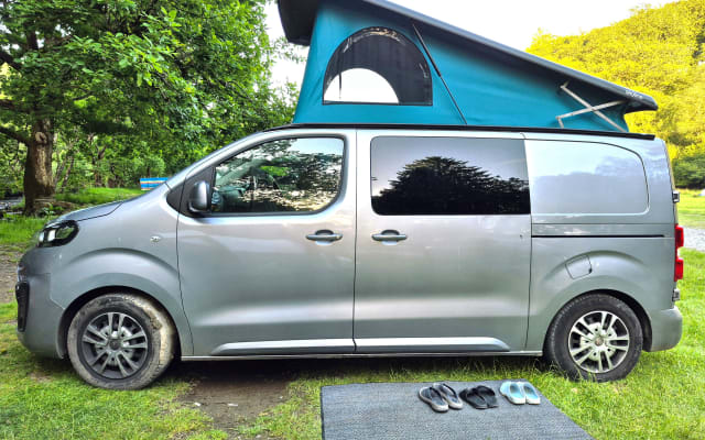 Rental - Campervan - null - #98856