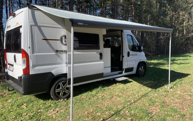 Boeking - Buscamper - null - #94259