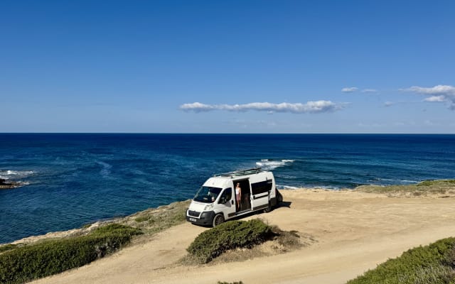 Rental - Campervan - null - #95681