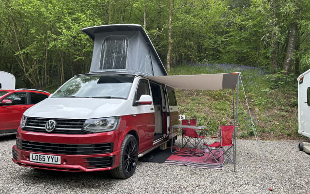 Rental - Campervan - null - #96493