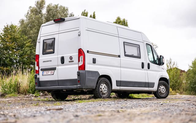 Viaggio - Furgonato - null - #92917