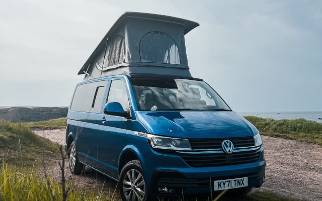 Rental - Campervan - null - #55357