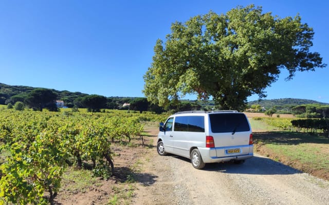 Huur - Campervan - null - #91822