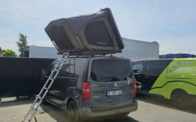 Rental - Campervan - null - #97586