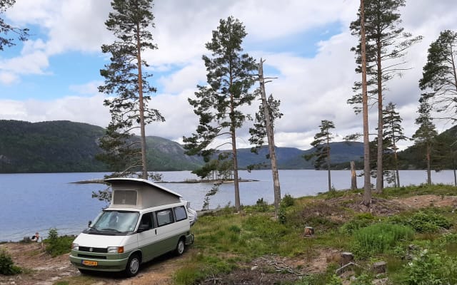 Boeking - Buscamper - null - #74300