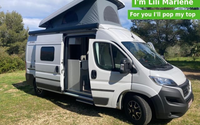 Alquiler - Camper gran volumen - null - #47158
