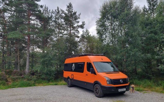 Rental - Campervan - null - #92992