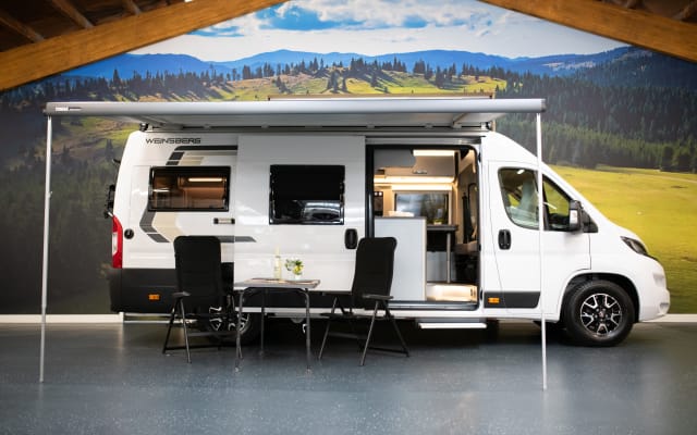 Boeking - Buscamper - null - #78362