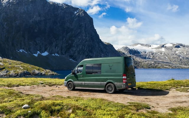 Boeking - Buscamper - null - #93960