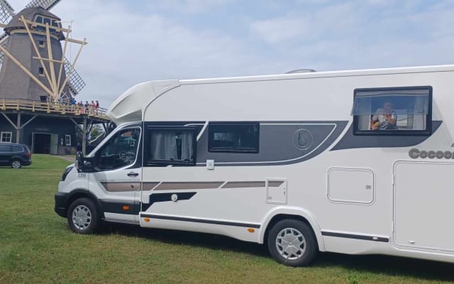 Hire - Low profile motorhome - null - #64262