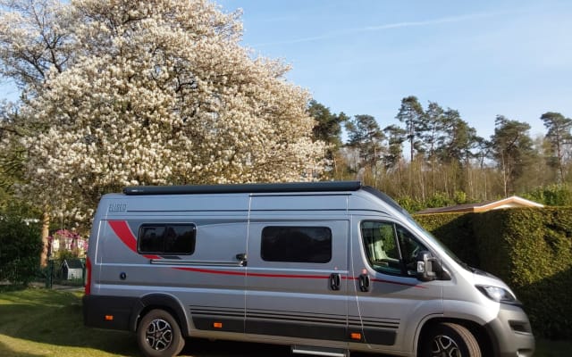 Boeking - Buscamper - null - #91547