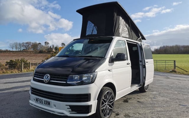 Rental - Campervan - null - #28241