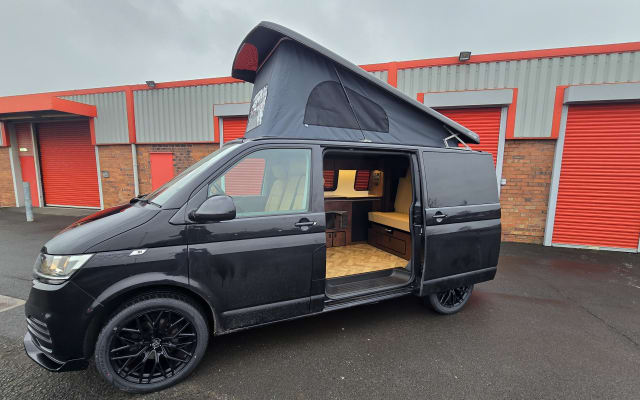 Rental - Campervan - null - #93056