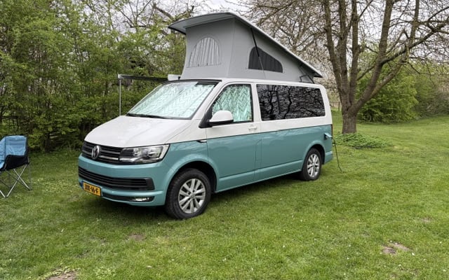 Rental - Campervan - null - #97015