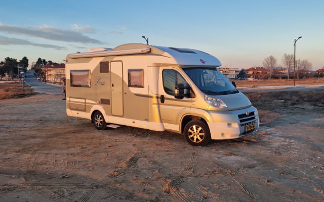 Location - Camping-car Profilé - null - #71772
