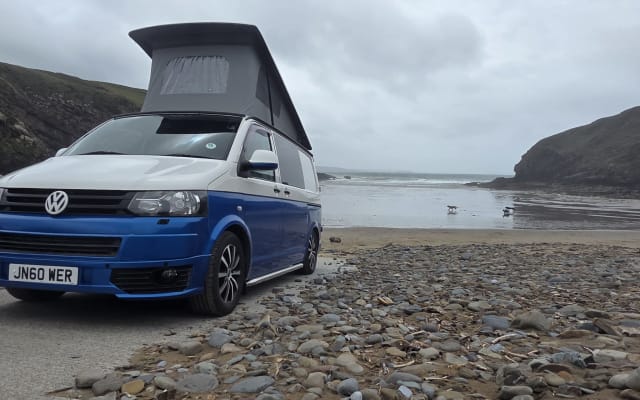 Rental - Campervan - null - #96434