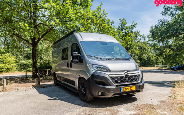 Vermietung - Kastenwagen - null - #94074
