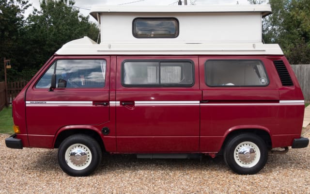 Rental - Campervan - null - #14240