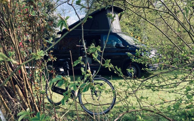 Rental - Campervan - null - #95902