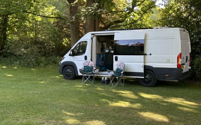 Rental - Campervan - null - #88142