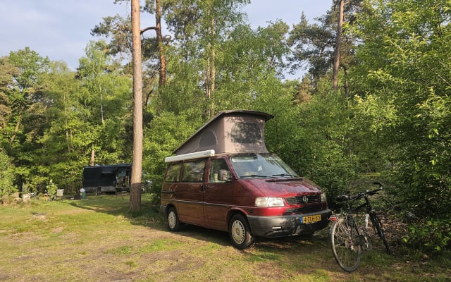 Huur - Kampeerbus - null - #99123