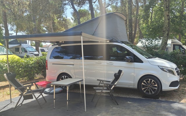 Rental - Campervan - null - #96079