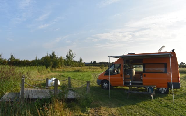 Rental - Campervan - null - #85231